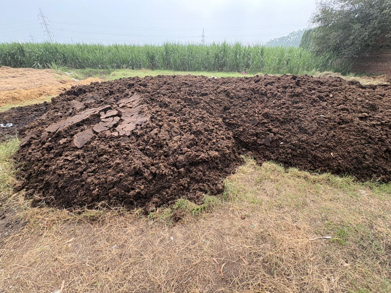 whatsapp image 2025 11 21 at 09.02.32 268e43ac