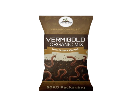 whatsapp image 2025 11 20 at 23.23.20 removebg preview